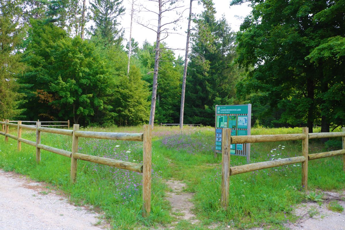 Lower Woodcock Lake Nature Preserve Almira Township, MI 49643