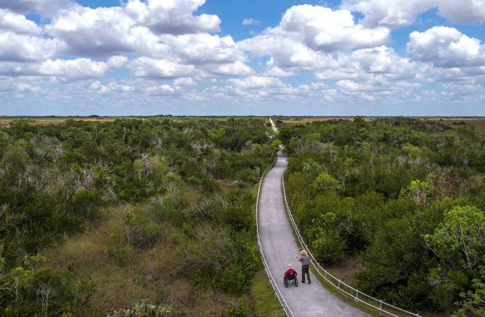 Caminhada pelos Everglades com cadeira de rodas