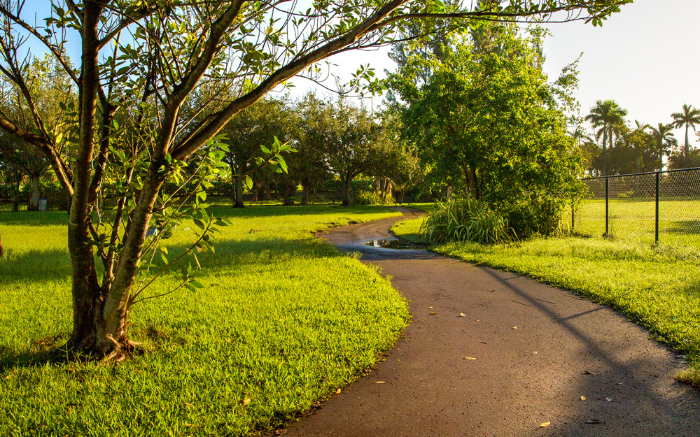 Scenic paths at Amelia Earhart Park