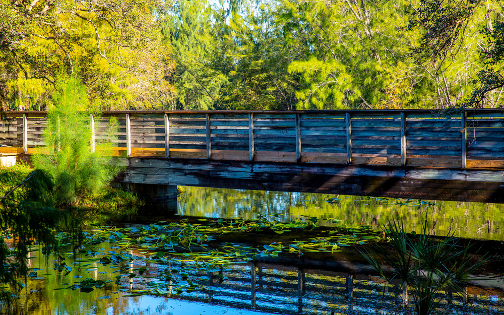 A bridge in Amelia Earhart Park