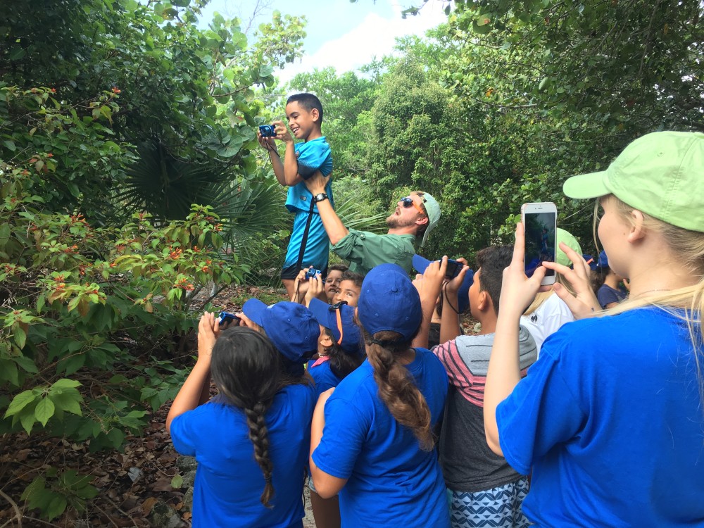 Located at Crandon Park, BNC advocates for environmental education and conservation, promoting the safeguarding of marine and terrestrial ecosystems.
