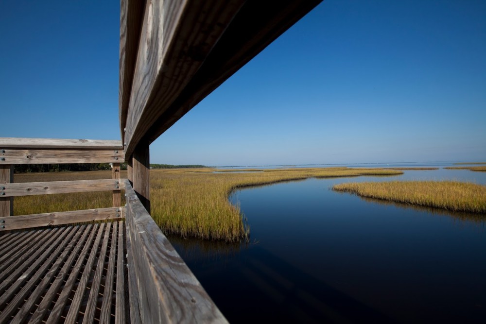 Everglades water and walking trail