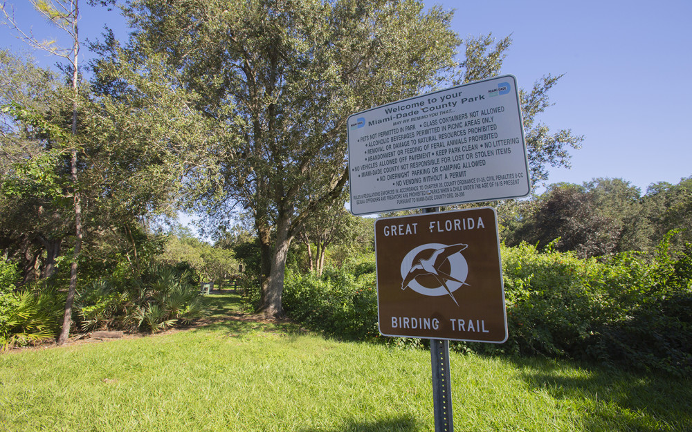Tolle Vogelbeobachtungspfade in Florida im Castellow Hammock Park