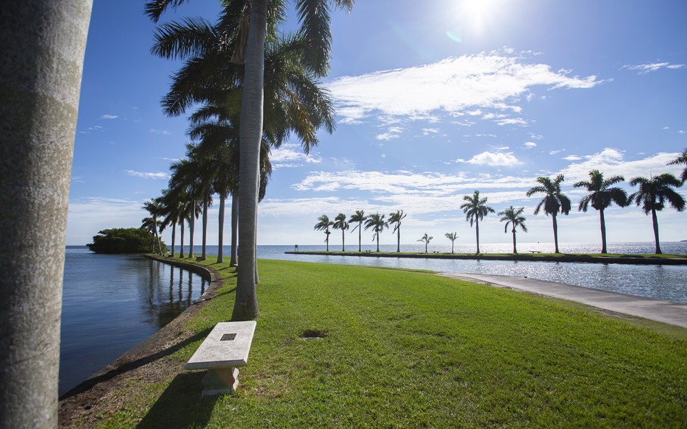 Palm Trees and water views from Charles Deering Estate