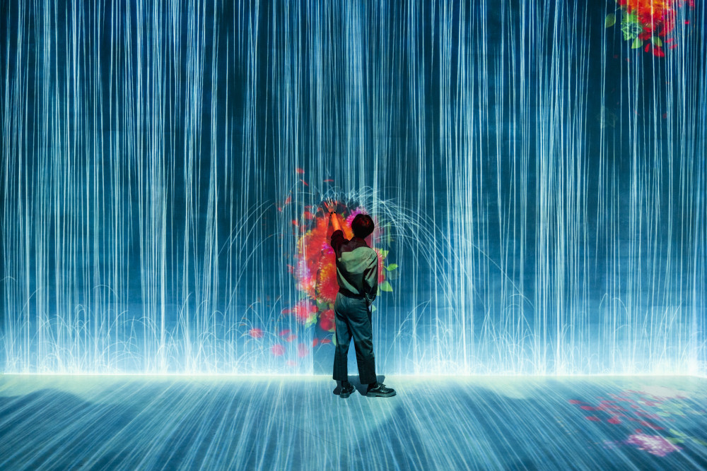 teamLab's "Flowers and People, Cannot Be Controlled"