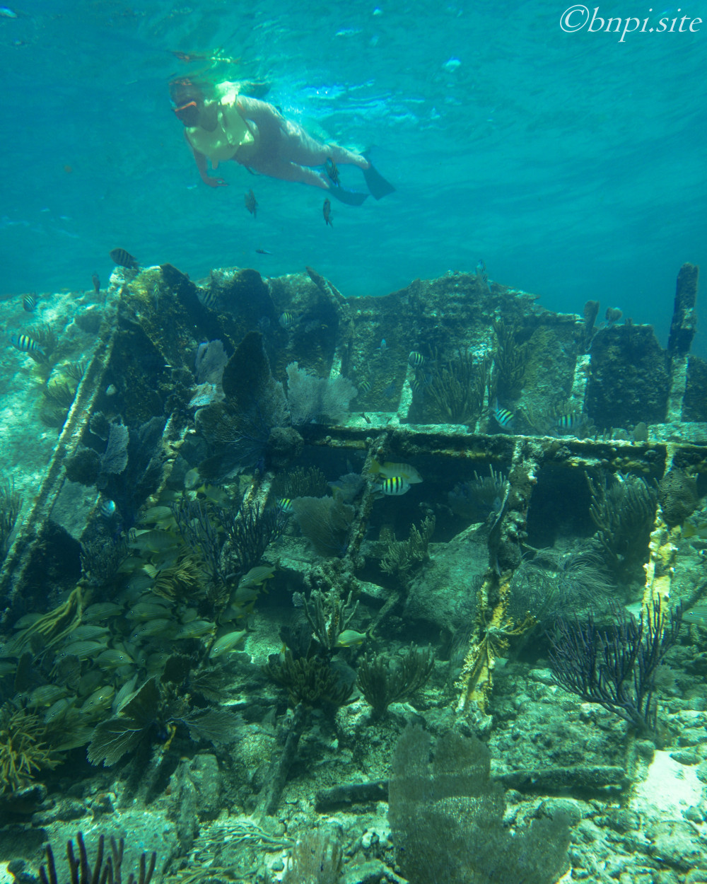 The wreck of the Mandalay on the Maritime Heritage Trail