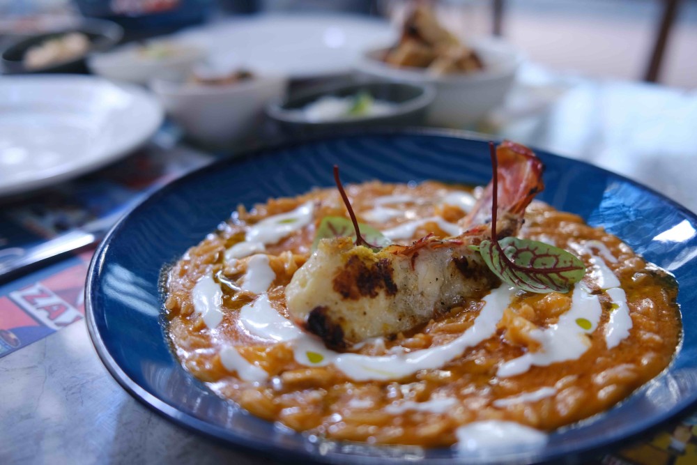 Giouvetzi de lagosta com orzo Pasta , Molho de tomate, queijo de esterco, óleo de endro, raspas de limão