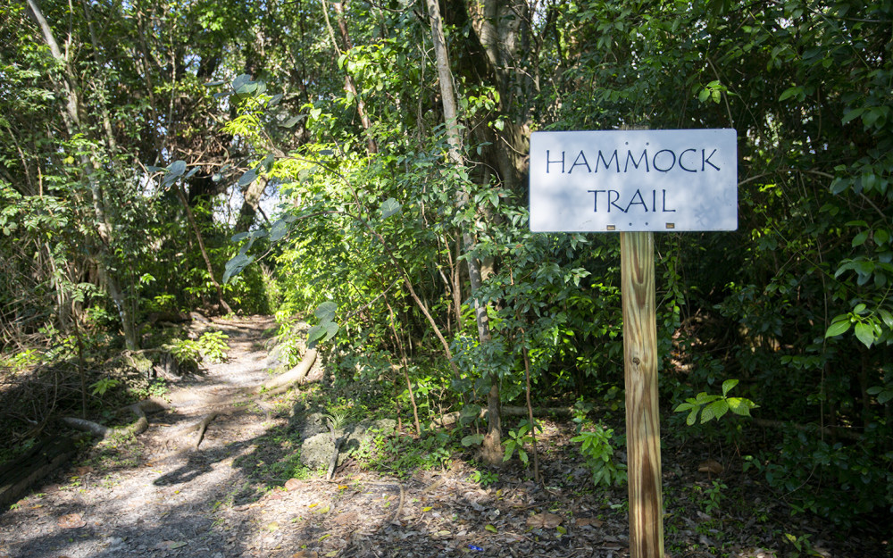 Hammock Trail Sign