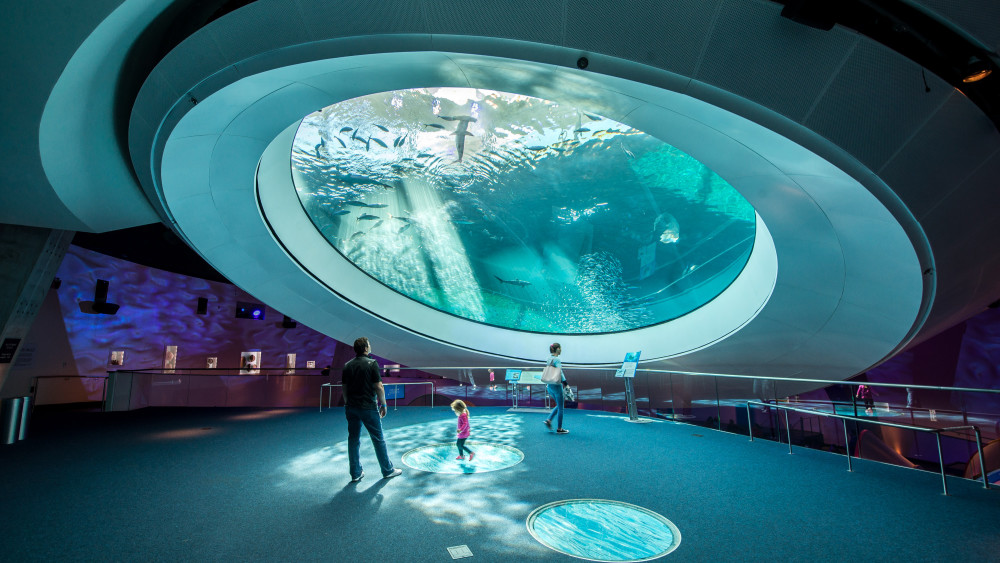 Ekspozisyon Oculus nan Gulf Stream Aquarium nan Frost Science.