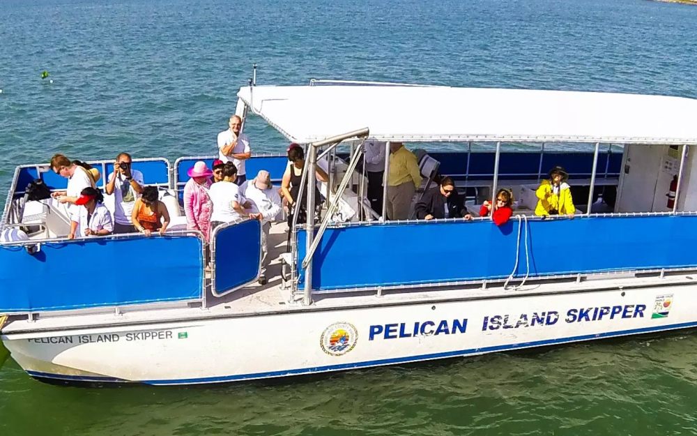 Pelican Island Skipper sur l'eau