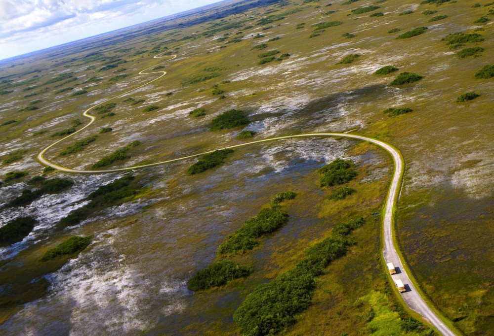 Conduciendo por los Everglades