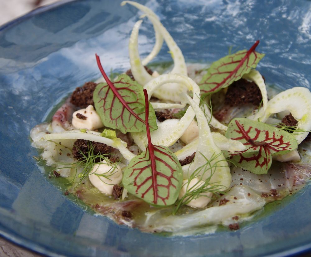 Seabass sarpaccio with tarama, fennel, carob rusk, lemon dressing, dill