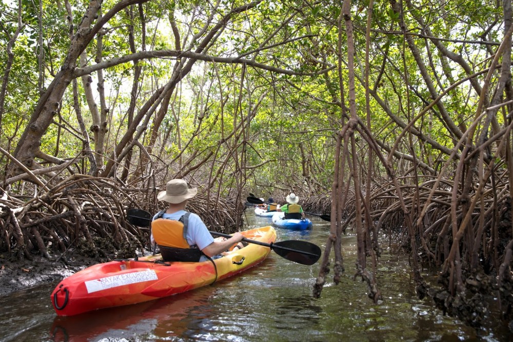 2 kayaks