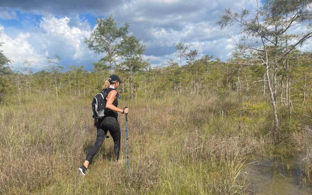 Wild Side Package Everglades Hike