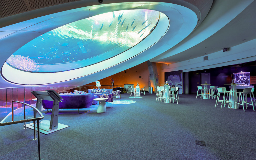 Per il fattore "wow" più impressionante, gli ospiti possono ammirare il fondo della nostra mostra Gulf Stream Aquarium da 500.000 galloni per vedere la vita sotto il mare attraverso la splendida finestra Oculus larga 31 piedi.