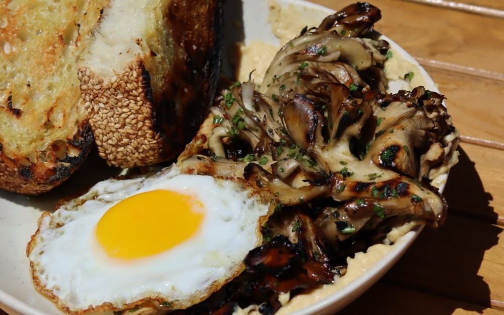 mushrooms, mushroom hummus, chimichurri, fried egg, sourdough