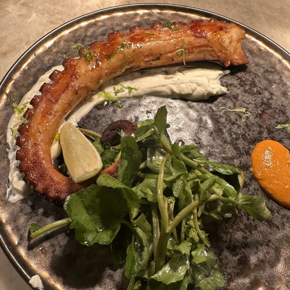 Grilled octopus, lime crema, hazelnut piquillo emulsion, watercress salad