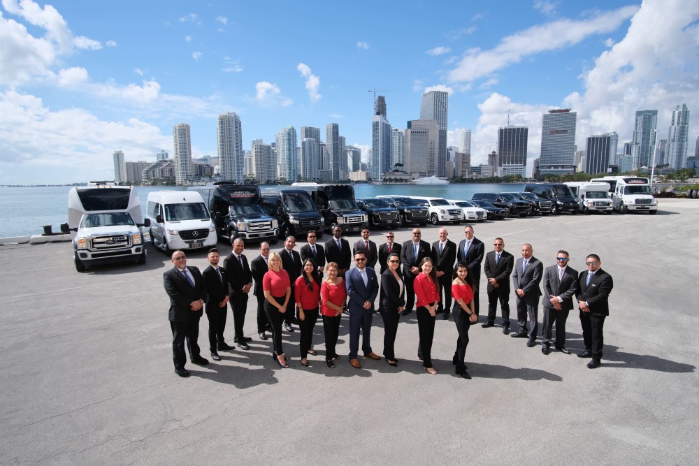 Team and cars