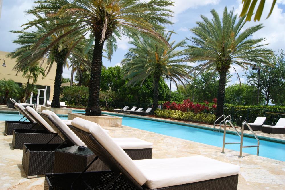 Lounge by the pool and enjoy the Florida sun