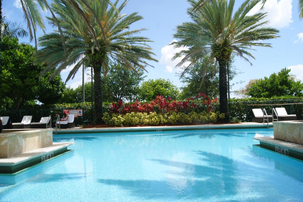 Pool view from the palm court.