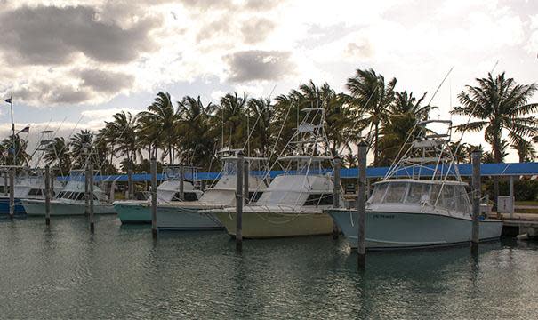 宪章船在Bill Bird Marina在Haulover Park