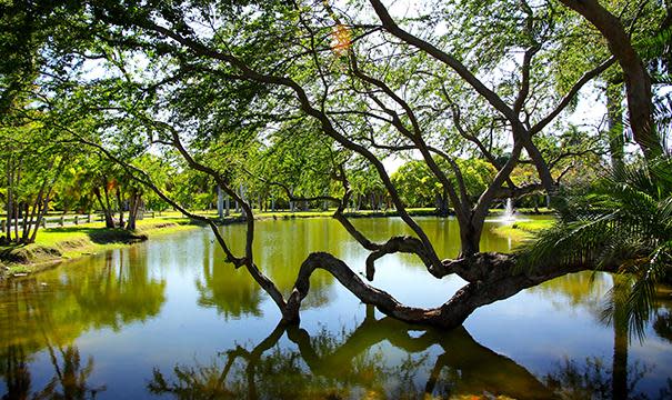 Lake and Fountain