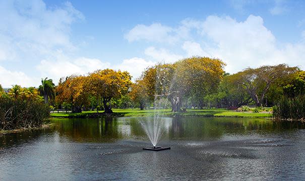 Fountain