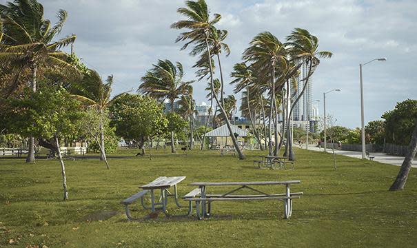 Picnic Area