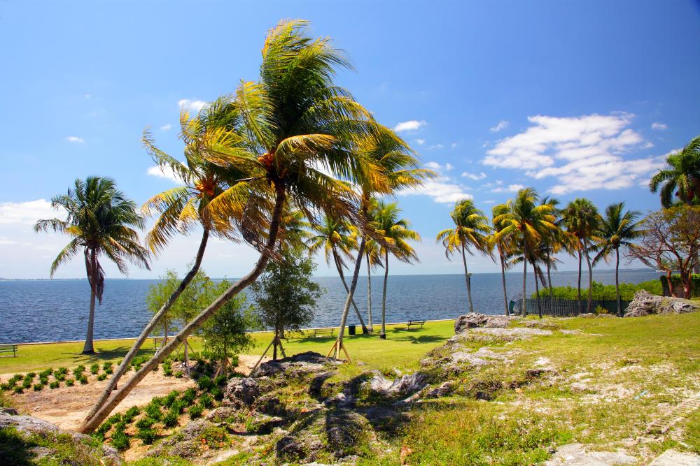 A view of Biscayne Bay at Alice C. Wainwright Park
