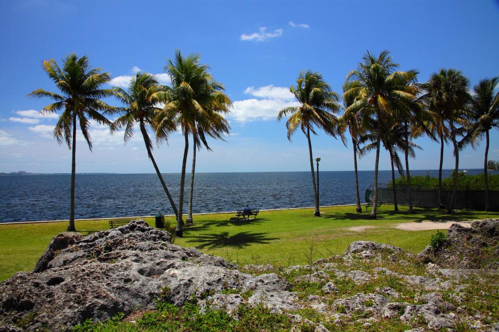 Biscayne Bay from Alice C. Wainwright Park