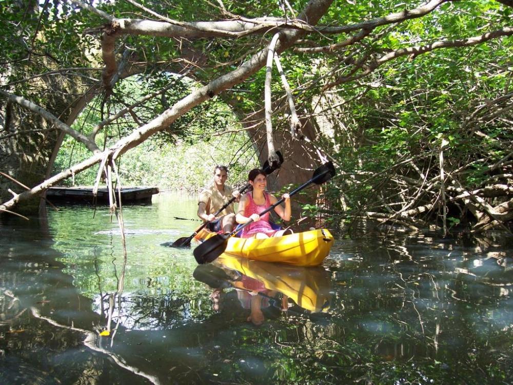 Great Discoveries on the Bay - A Kayak Journey