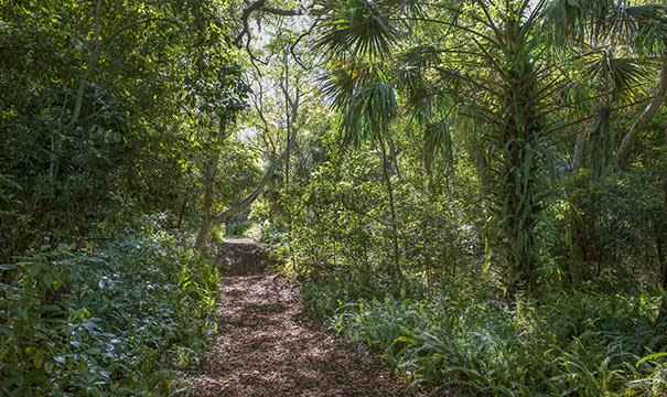 Arch Creek Park & Nature Center Trilha da natureza