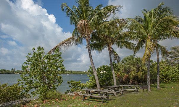 Picnic area