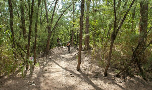 Bike trails