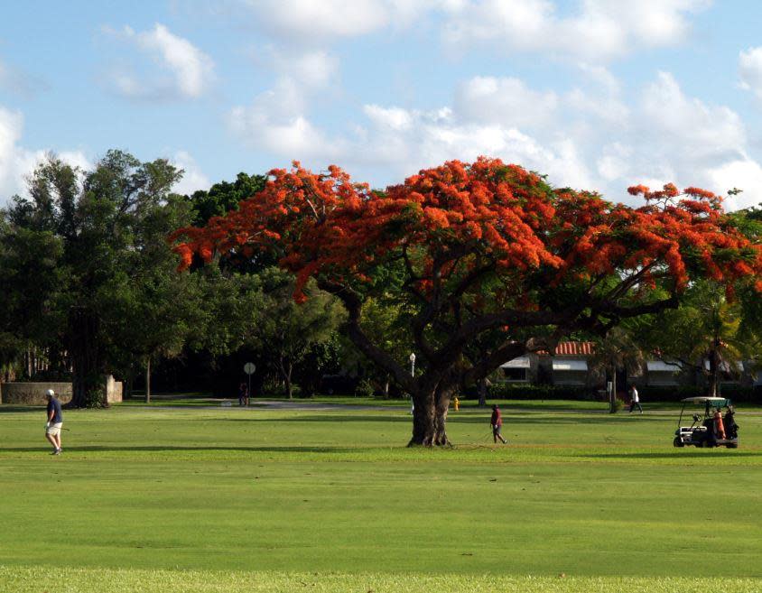 Granada Golf Course