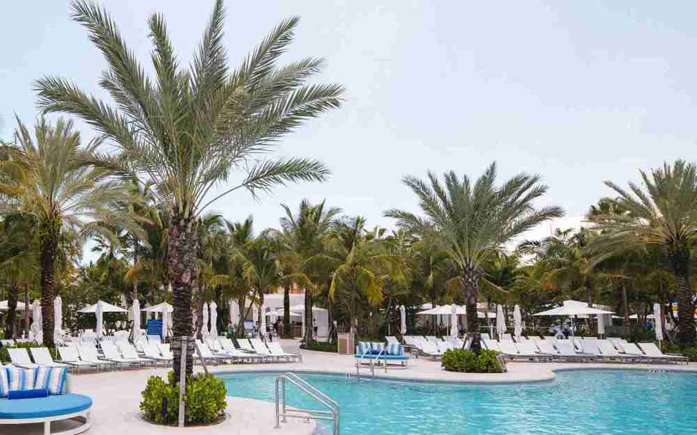 Dive into serenity at Tidal Cove's pool, The Laguna, where the best seats by breezing palm trees and heated waters invite you for a refreshing dip.
