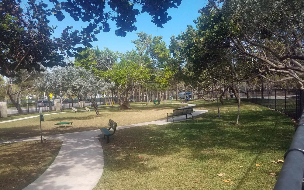 North Beach Oceanside Park Dog Park photo by Maika Moulite