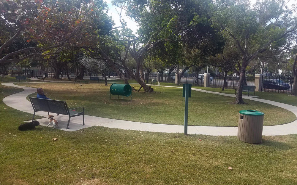 North Beach Oceanside Park Dog Run photo by Maika Moulite