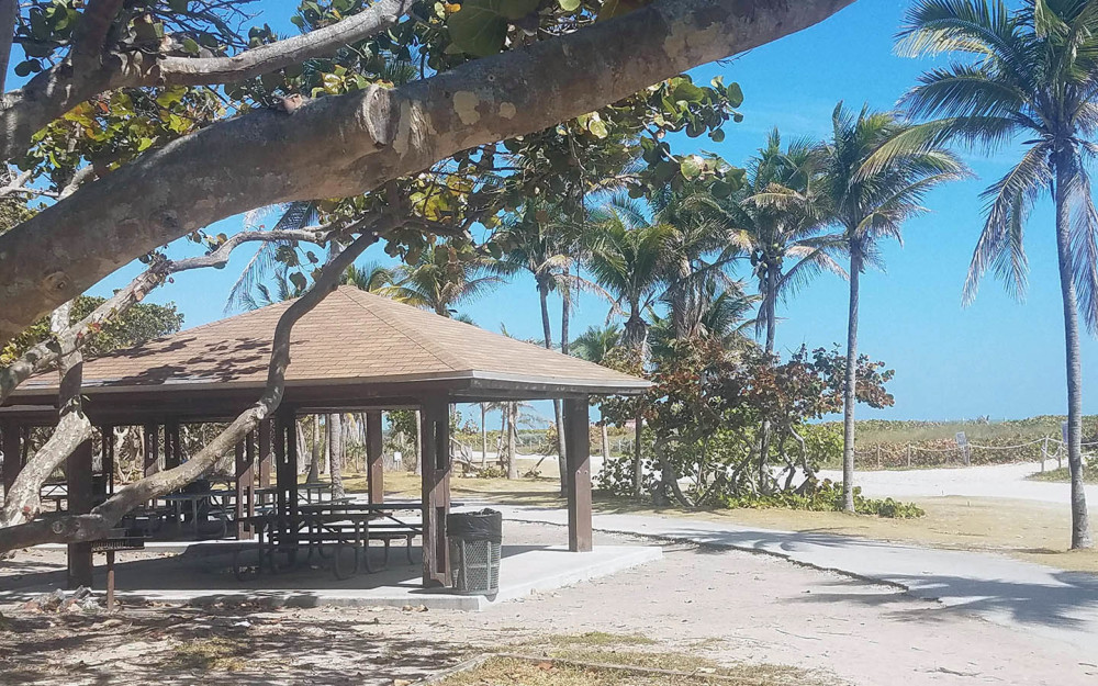 North Beach Oceanside Park Picnic Tables photo by Maika Moulite