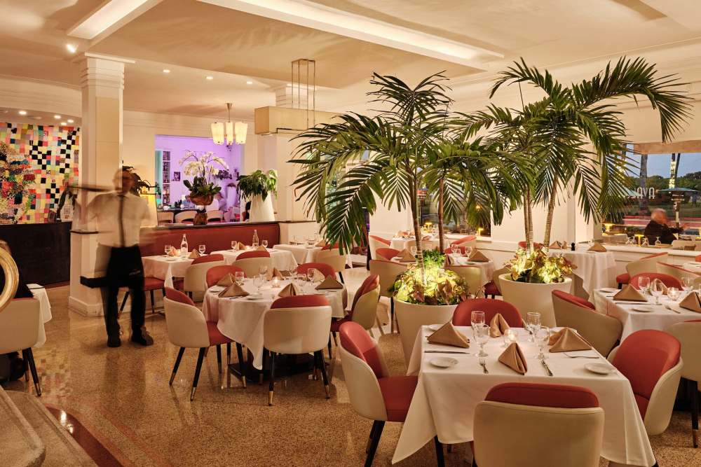 A Fish Called Avalon Indoor Dining Setting