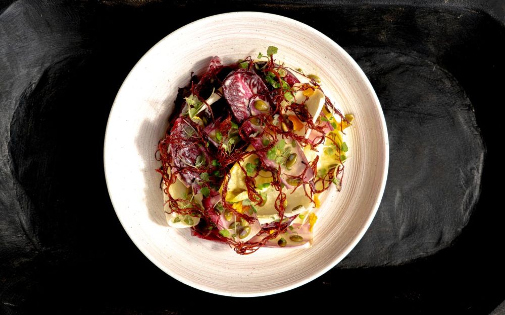 Garden Salad | Red & White Endive, Pepitas, Ogo Seaweed, Miso-Ginger-Yuzu Vinaigrette