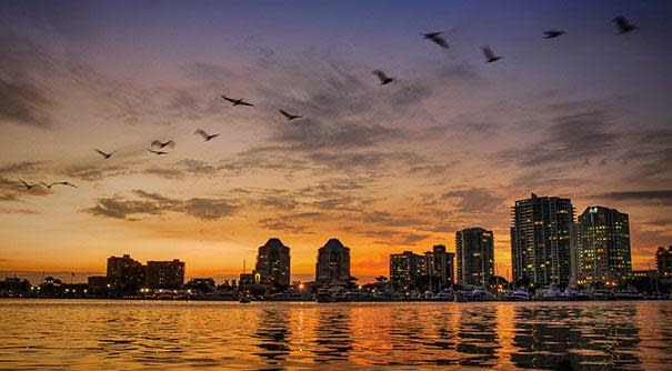 Coconut Grove Skyline