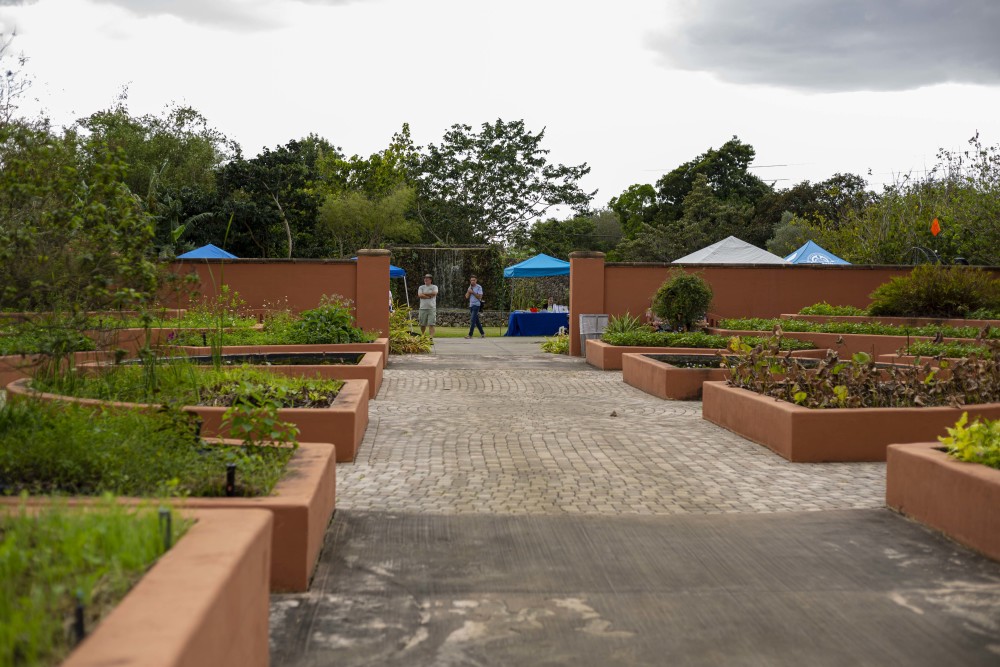 Herb Garden