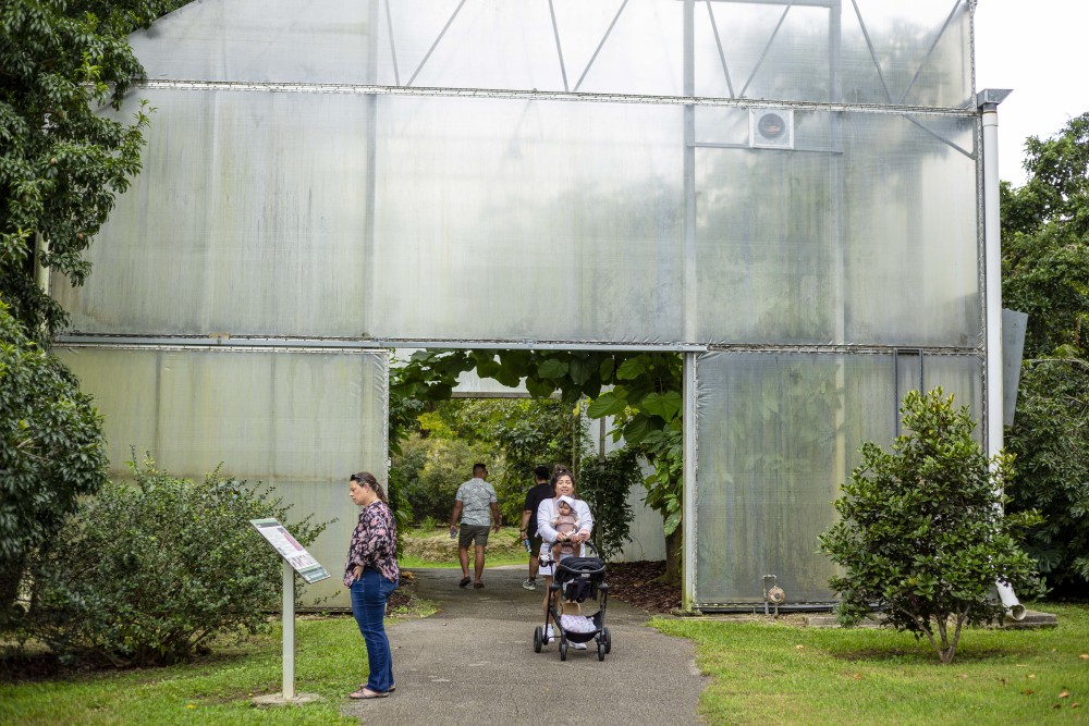 Tropical Americas Greenhouse