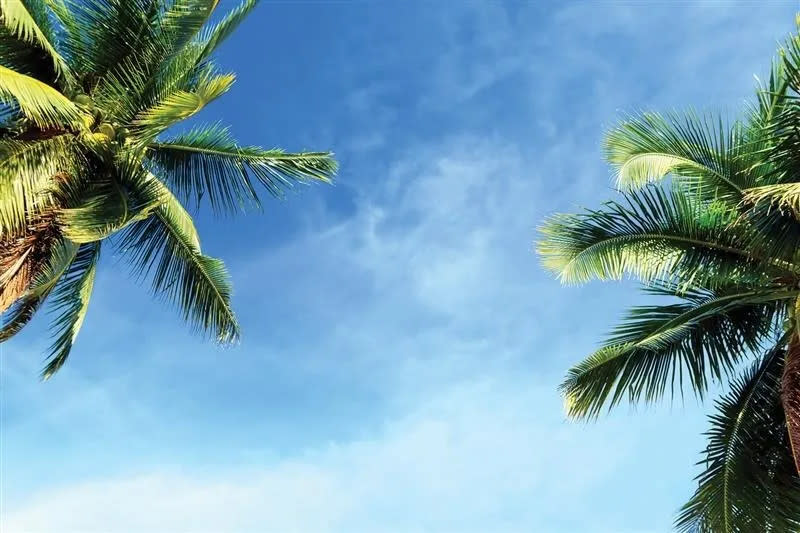 Sunday's on the Bay – Wine Tasting photo