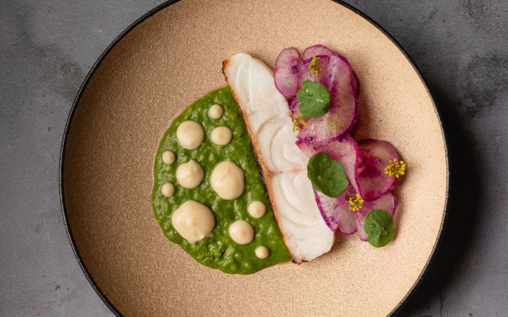 Seared Local Fish | Porcini, Shiitake, & Kombu Oil, Smoked Fish Bone Dashi Congee,Turnip & Amazake Puree, Purple Daikon w/ Yuzu Vinaigrette & Yuzu Oil
