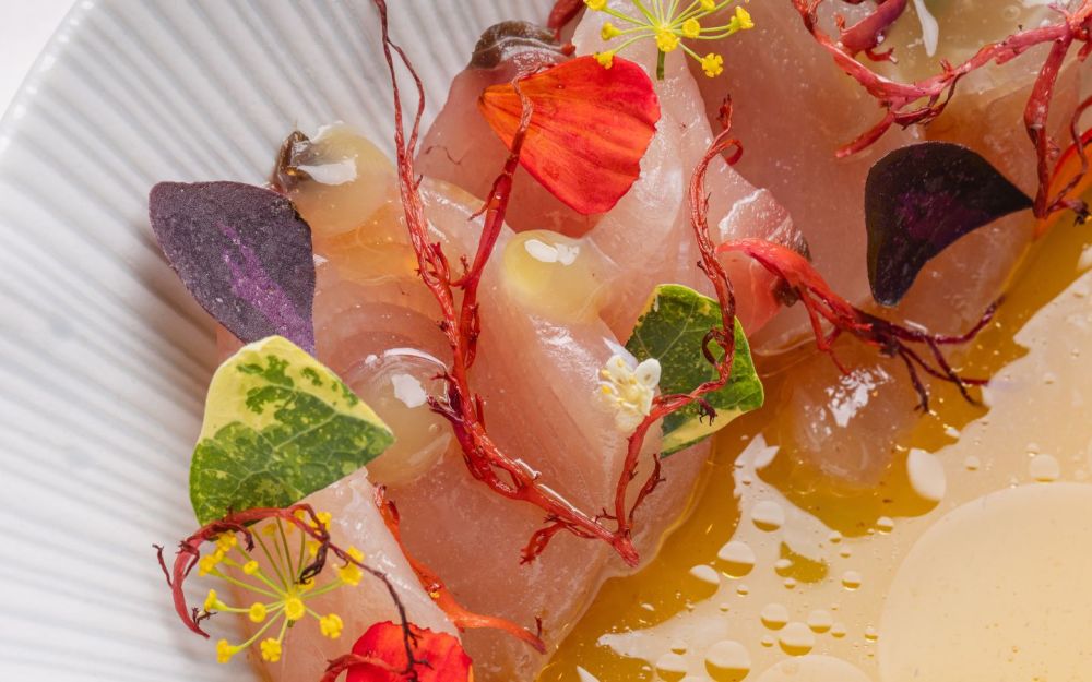 Shiro Ponzu Crudo | Local Fish Catch, Makrut-Raspberry Gel, Fresh Seaweed, Yuzu Oil
