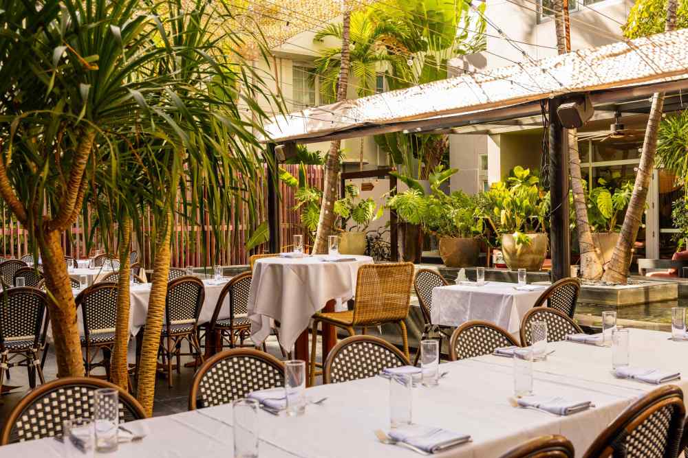 Lush outdoor vibes at Orange Blossom—dine under the stars and catch our dazzling fire show nights in a tropical garden setting.