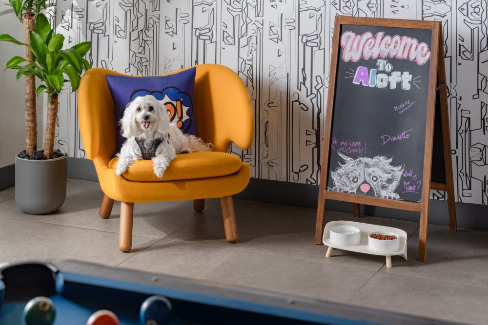 Furry friends are welcome at Aloft Miami Brickell for a pet-friendly stay in the heart of Miami.