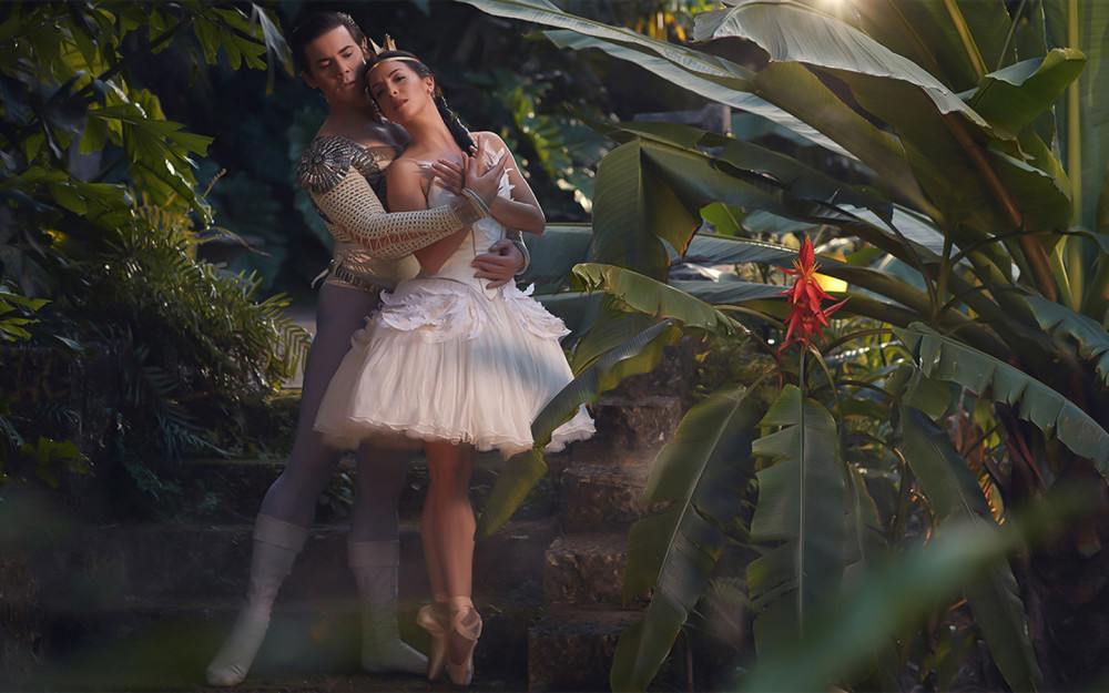 Swan Lake photo